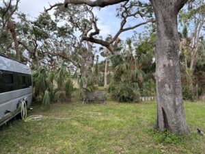 Backyard cleaned - moved van back