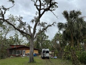 Backyard cleaned - moved van back
